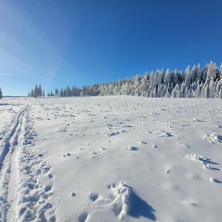 Apartmán Spa Šumava Zdíkov Exteriér fotografie