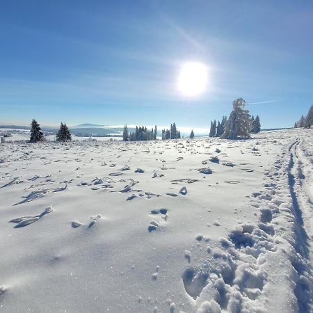 Apartmán Spa Šumava Zdíkov Exteriér fotografie