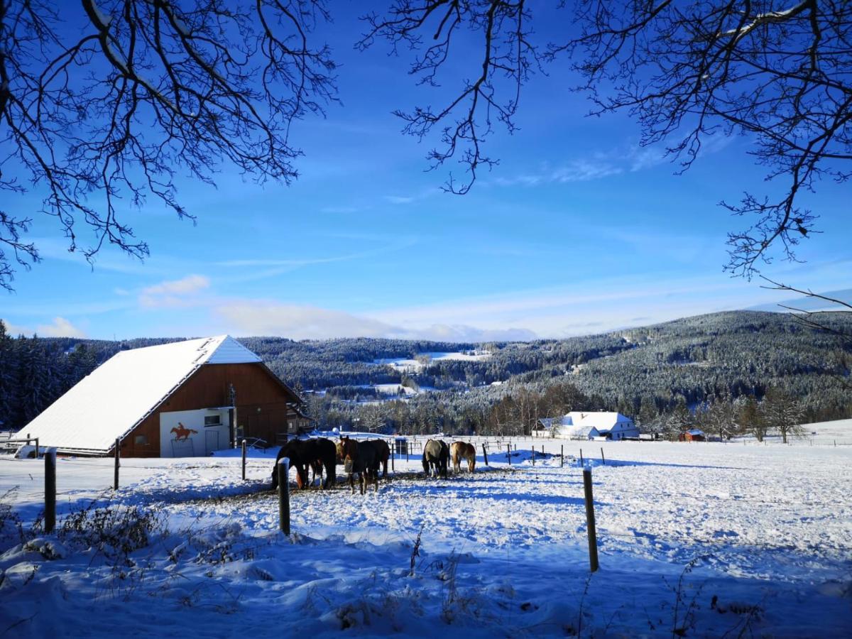 Apartmán Spa Šumava Zdíkov Exteriér fotografie