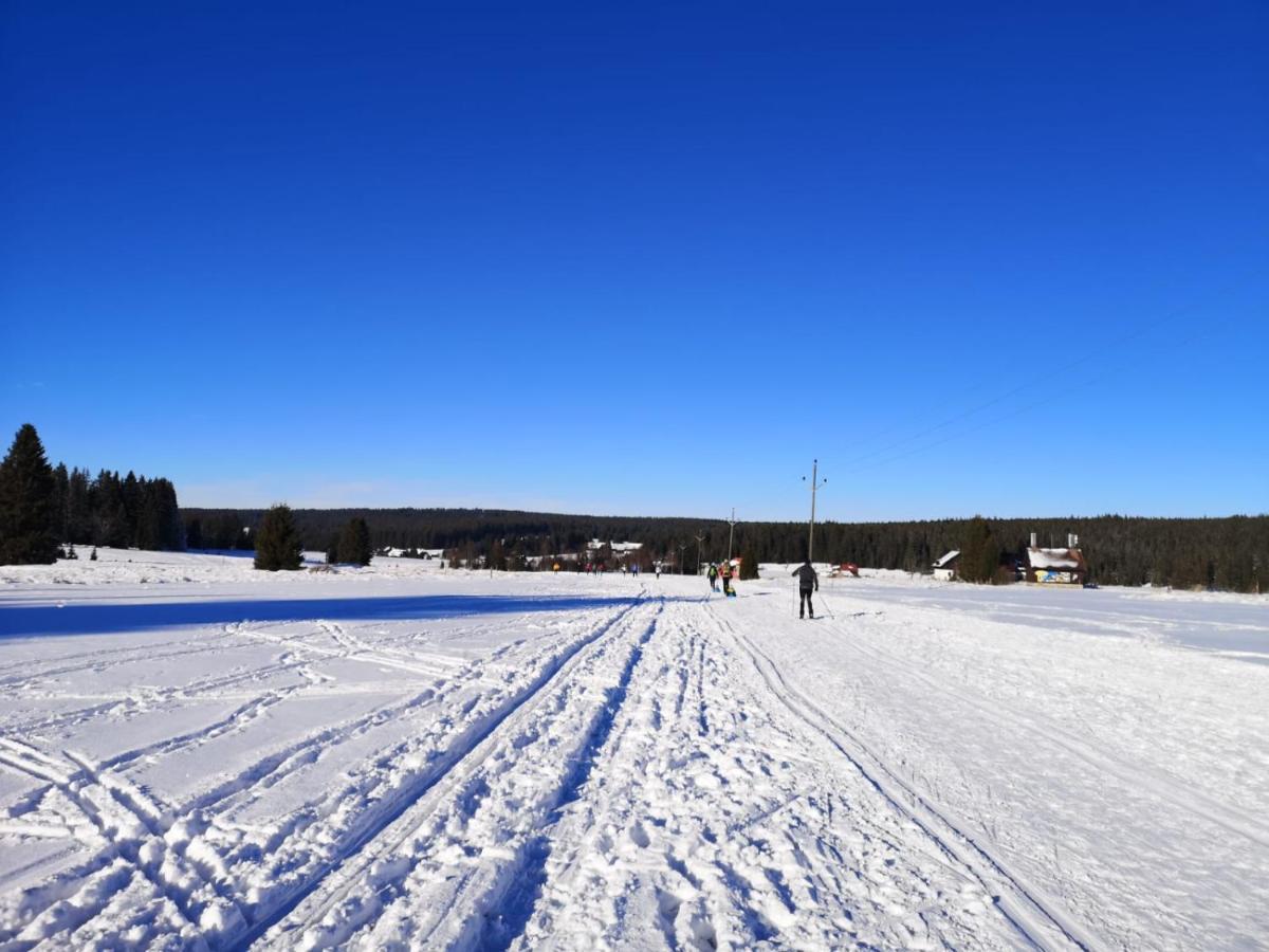 Apartmán Spa Šumava Zdíkov Exteriér fotografie