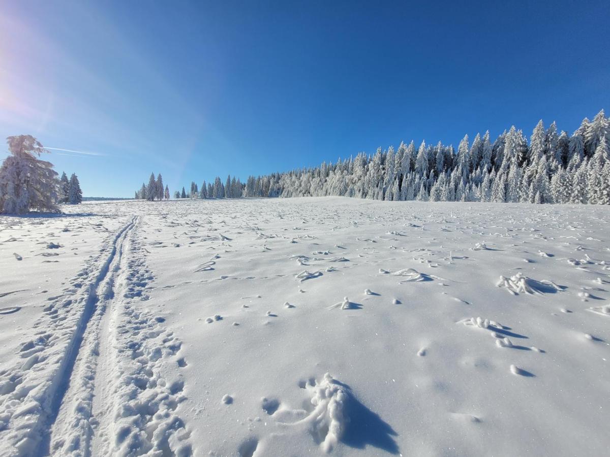 Apartmán Spa Šumava Zdíkov Exteriér fotografie