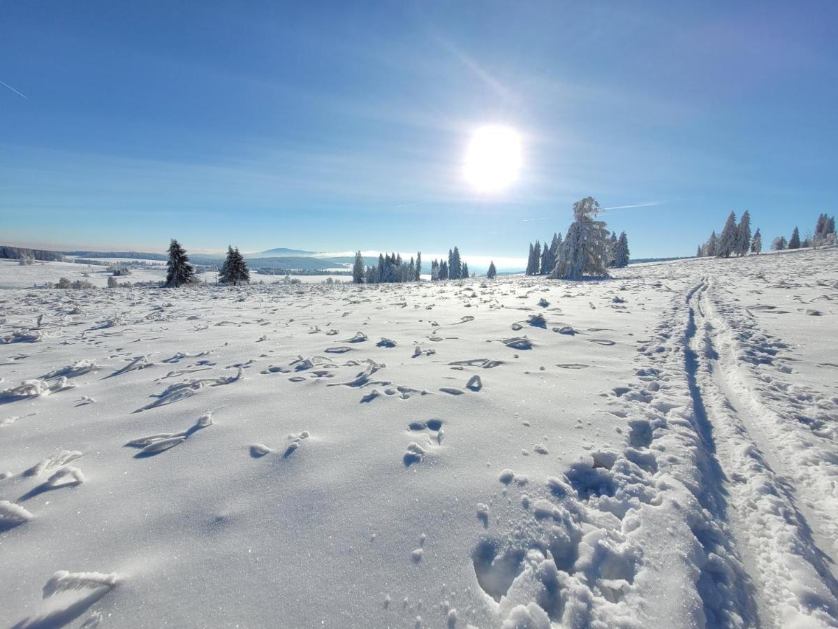 Apartmán Spa Šumava Zdíkov Exteriér fotografie